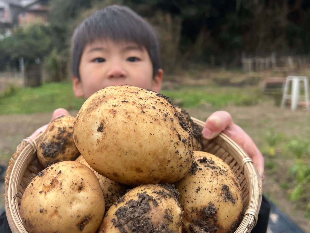 気軽にマイファーム！じゃがいも畑オーナー募集！