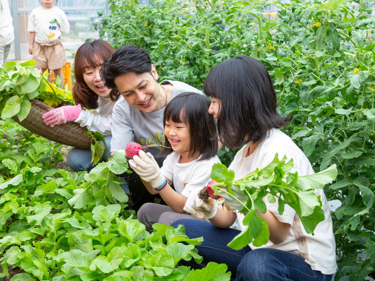 2026年春！3月14日（土）より今シーズンご予約スタートします